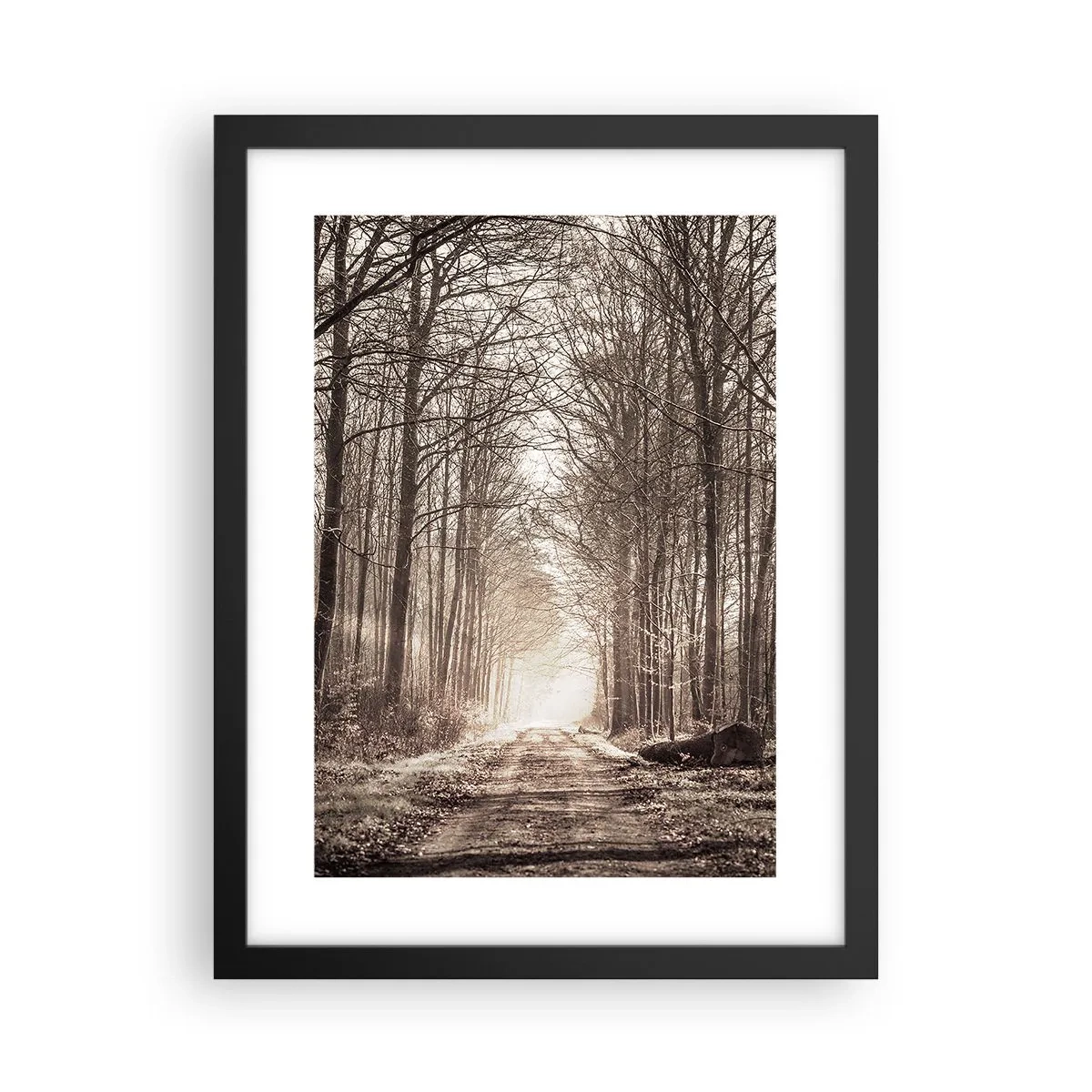 Plakat i sort ramme - Skovkatedralen - 30x40 cm