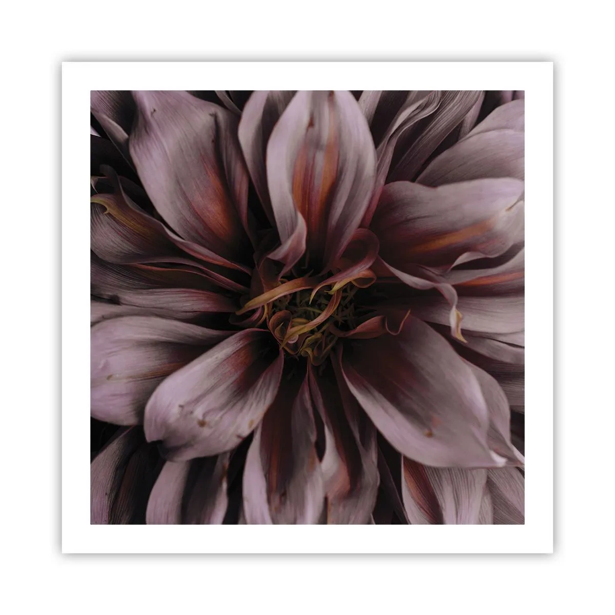 Plakat - Blomstret hjerte - 60x60 cm