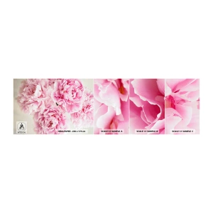 Prøve Fototapet Selvklæbende Deluxe Sticker - I lyserød glamour - Pæoner, Buket blomster, Blomster - 100x30 cm