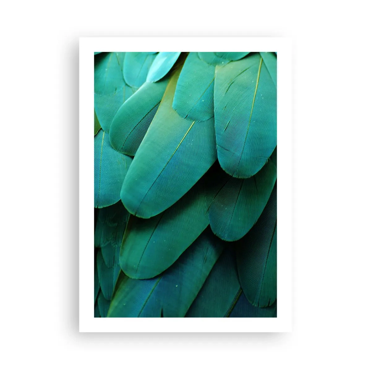 Plakat - Papegøjenaturens præcision - 50x70 cm