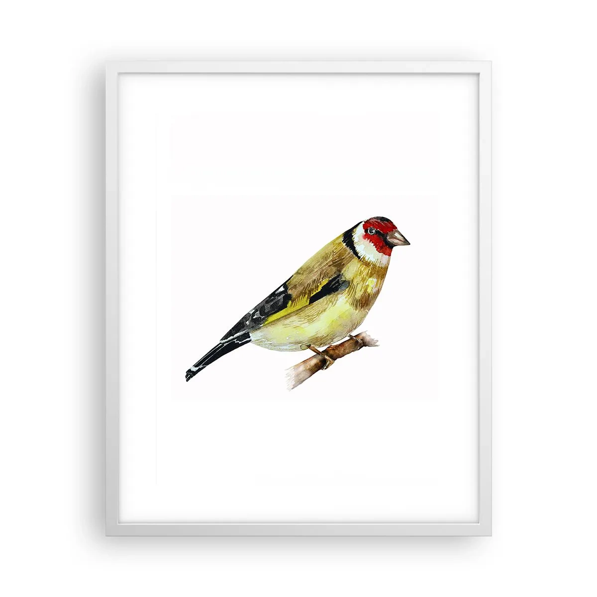 Plakat i hvid ramme - Portræt af en fugl - 40x50 cm