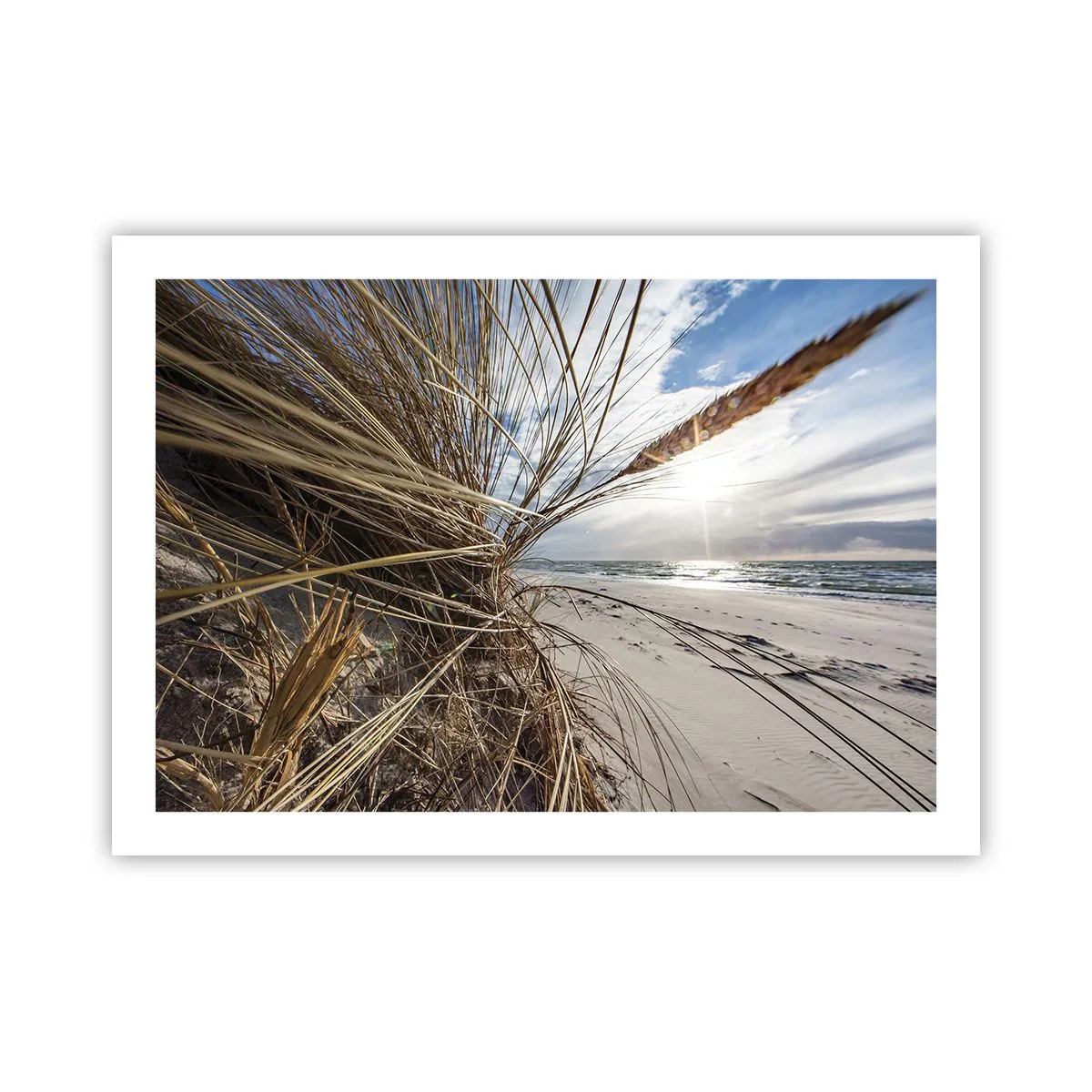 Plakat - Et møde mellem elementerne - 70x50 cm