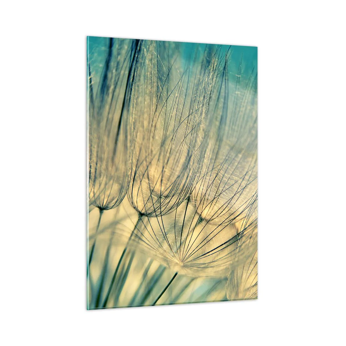 Billede på glas - Venter på vinden - 50x70 cm
