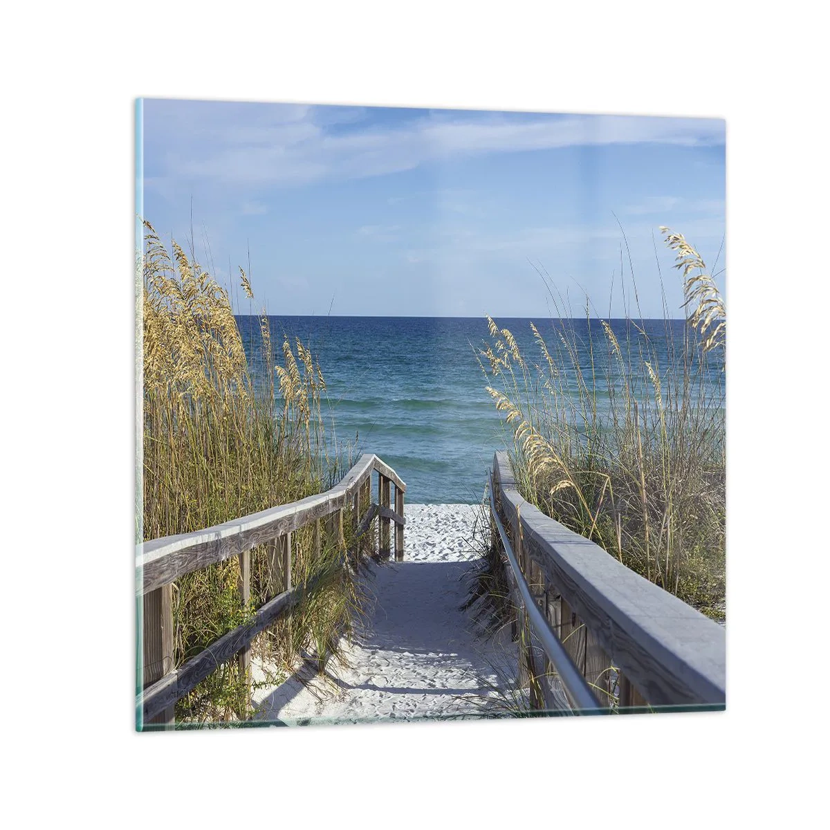Billede på glas - I solen, i vinden - 60x60 cm