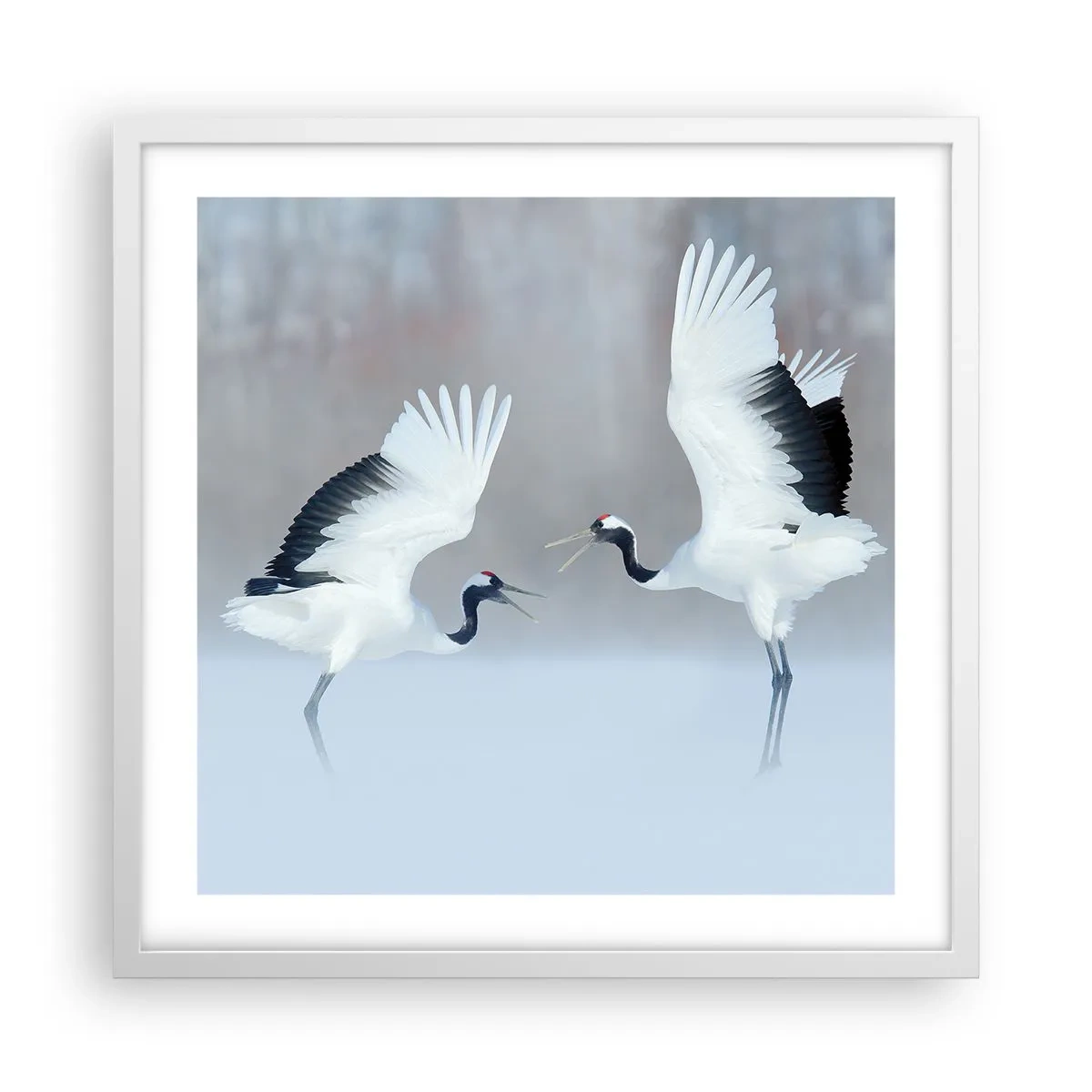 Plakat i hvid ramme - Danser i tågen - 50x50 cm