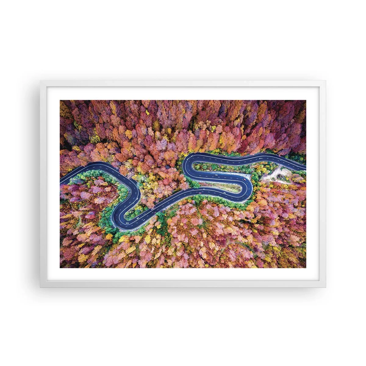 Plakat i hvid ramme - En snoet vej gennem skoven - 70x50 cm