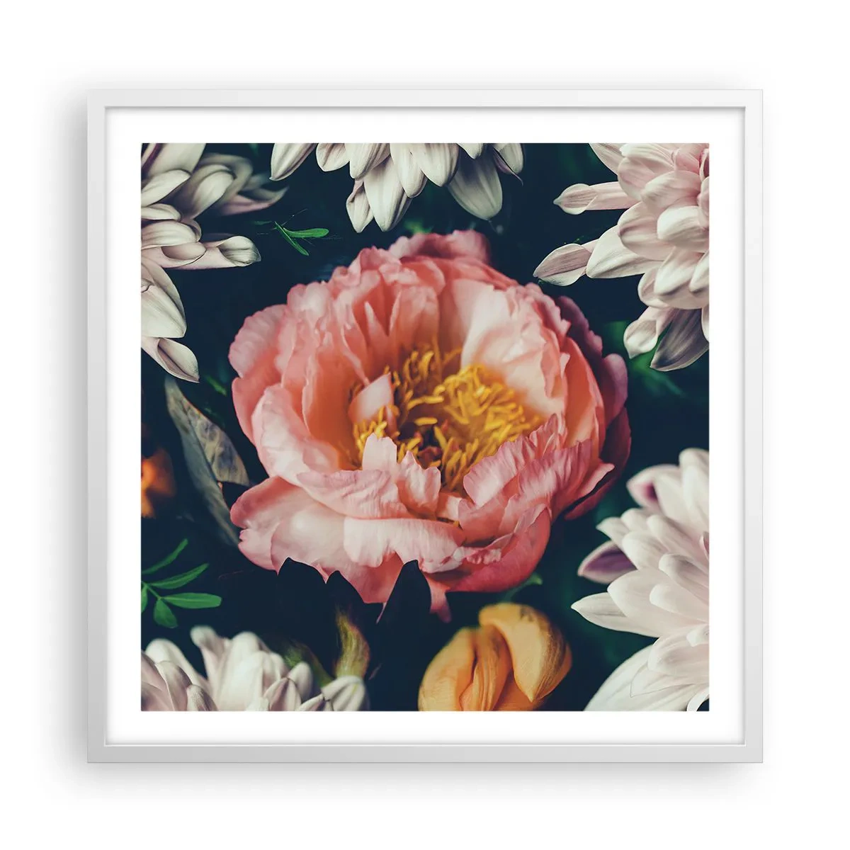 Plakat i hvid ramme - Med barok pragt - 60x60 cm