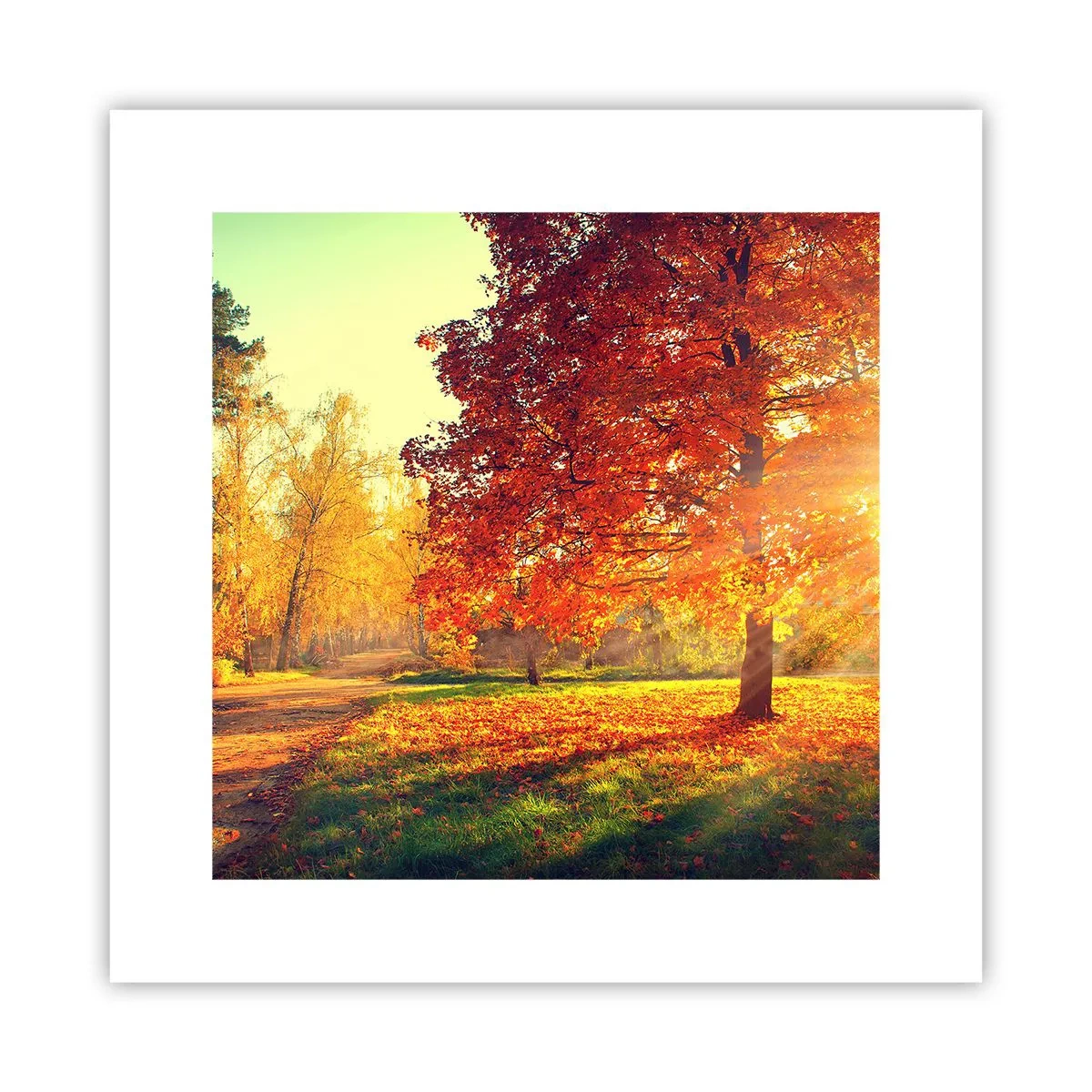 Plakat - Rød er smuk - 30x30 cm