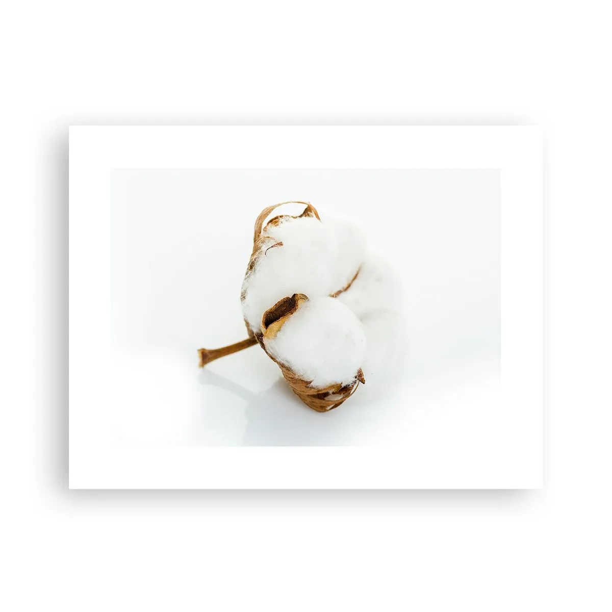 Plakat - Blød af natur - 40x30 cm