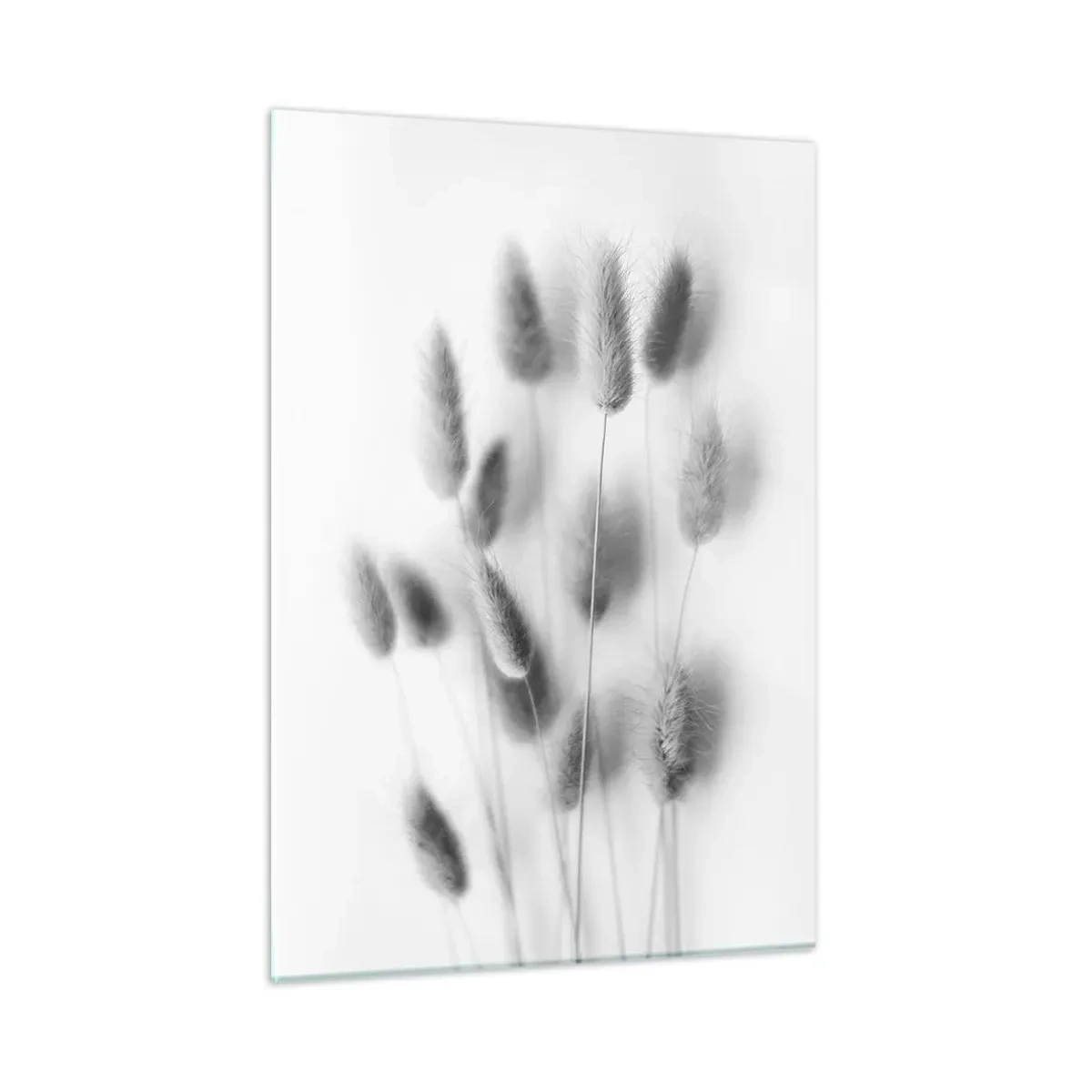 Billede på glas - Dens bløde græs - 50x70 cm