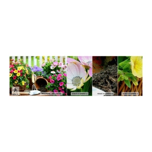 Prøve Fototapet Premium Canvas - Zosias have - Blomster, Have, Buket blomster - 100x30 cm