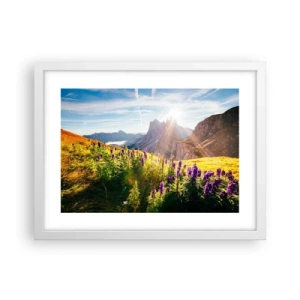 Plakat i hvid ramme - Urternes hemmelige liv - 40x30 cm