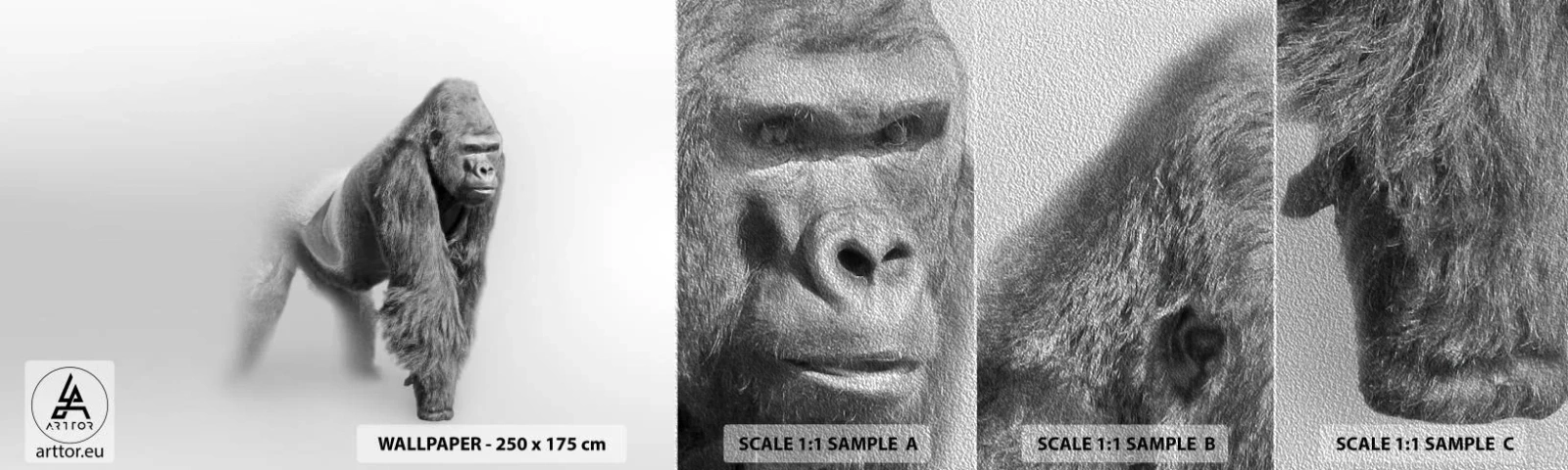 Prøve Fototapet Premium Sand - Selvsikker på sin styrke - Dyr, Gorilla, Abe - 100x30 cm