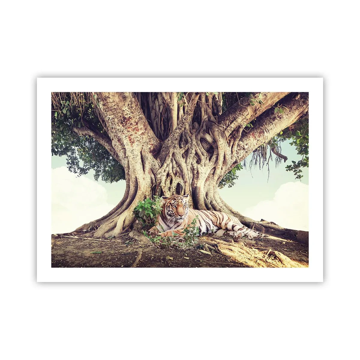 Plakat - Udsigt fra Første Mosebog - 70x50 cm