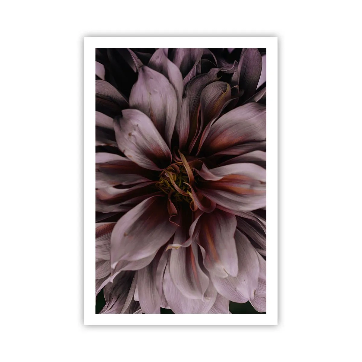 Plakat - Blomstret hjerte - 61x91 cm