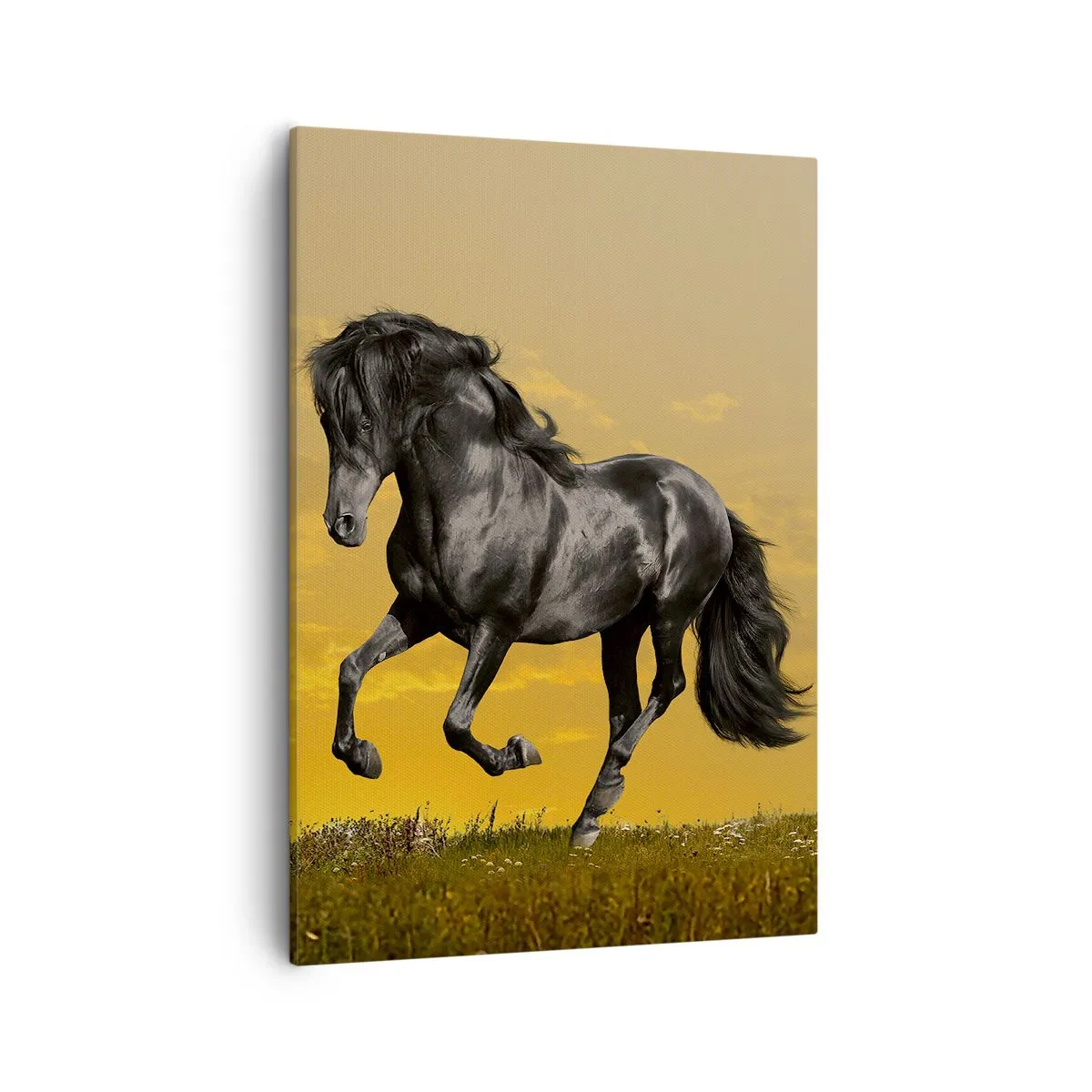 Lærredstryk - Billede på lærred - Smuk, fri og vild - 50x70 cm