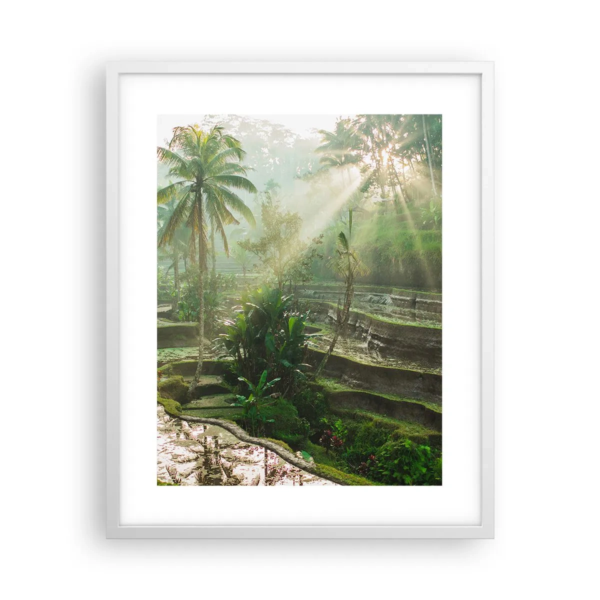 Plakat i hvid ramme - Voksende op i solen - 40x50 cm