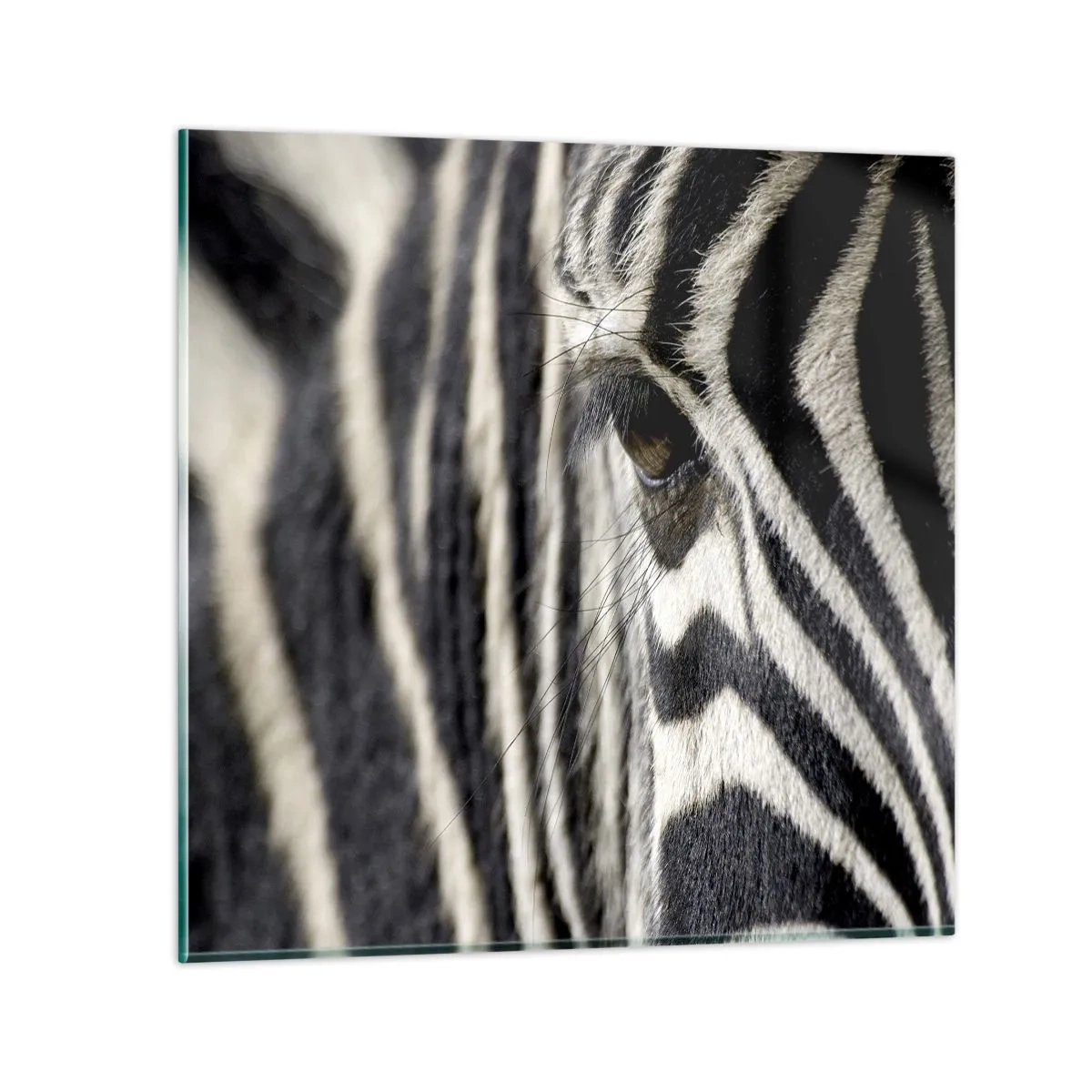 Billede på glas - Stribet portræt - 30x30 cm