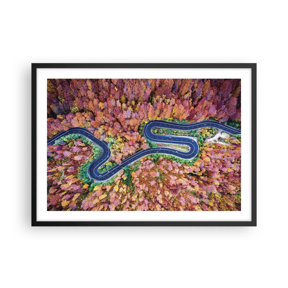 Plakat i sort ramme - En snoet vej gennem skoven - 70x50 cm
