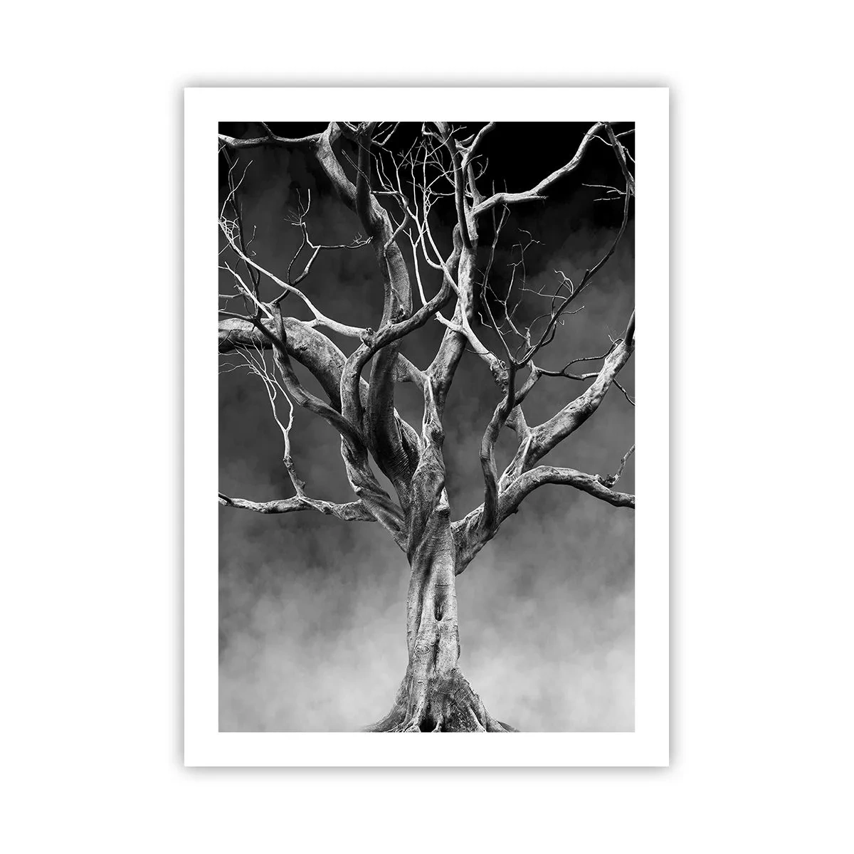 Plakat - Primær og hellig - 50x70 cm