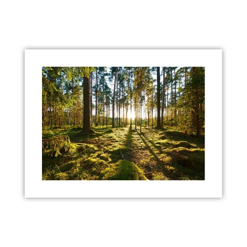 Plakat - ...Bag de syv skove - 40x30 cm