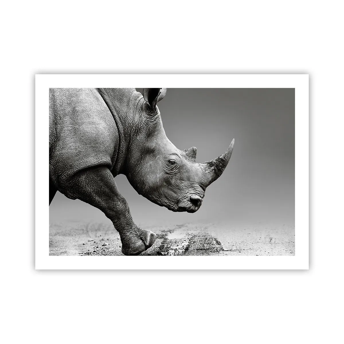 Plakat - En ustoppeli - 70x50 cm