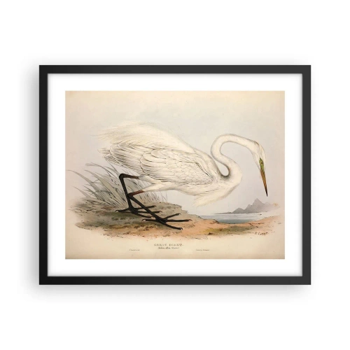 Plakat i sort ramme - Dame på sivene - 50x40 cm