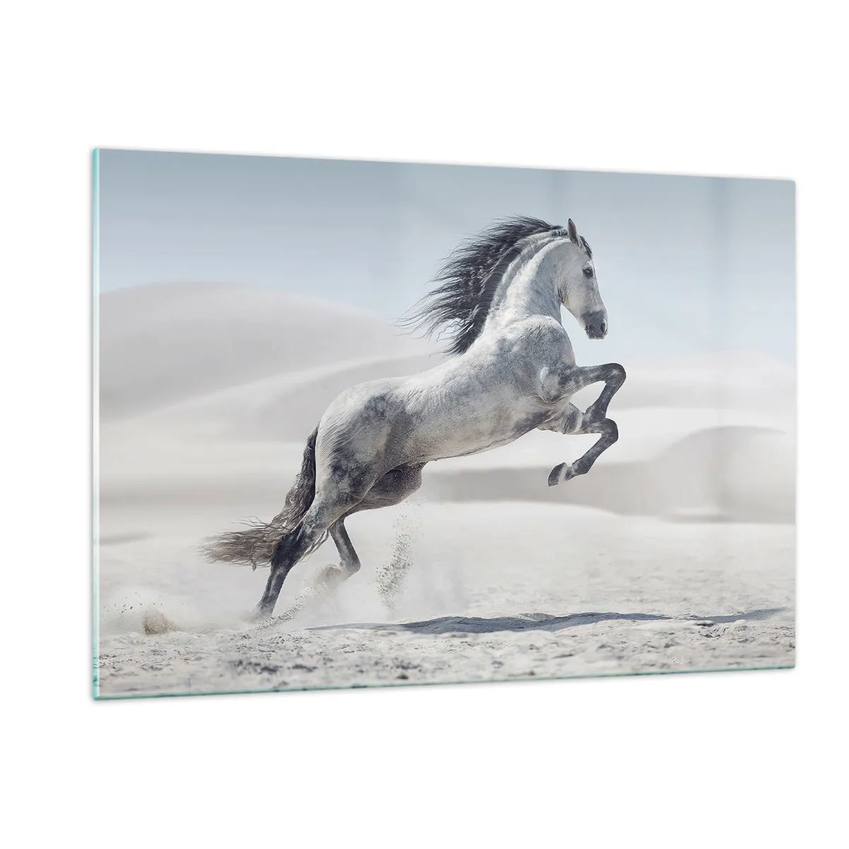 Billede på glas - Arabisk prins - 120x80 cm