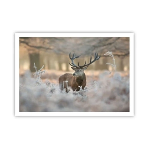 Plakat - En frisk morgen - 100x70 cm