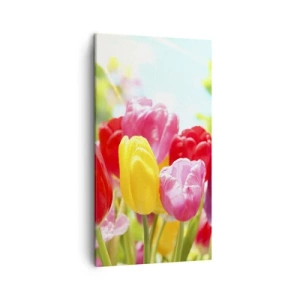 Lærredstryk - Billede på lærred - Det er os, maj måneds farver! - 45x80 cm