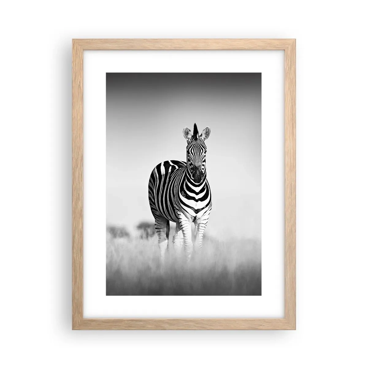 Plakat i ramme af lyst egetræ - Og alligevel er verden sort og hvid - 30x40 cm