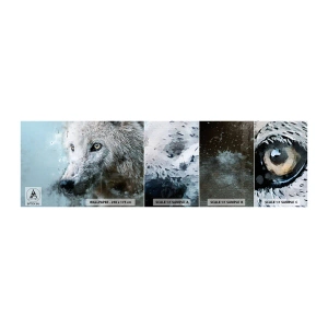 Prøve Fototapet Selvklæbende Deluxe Sticker - Mød ulvesjælen - Dyr, Ulv, Predator - 100x30 cm