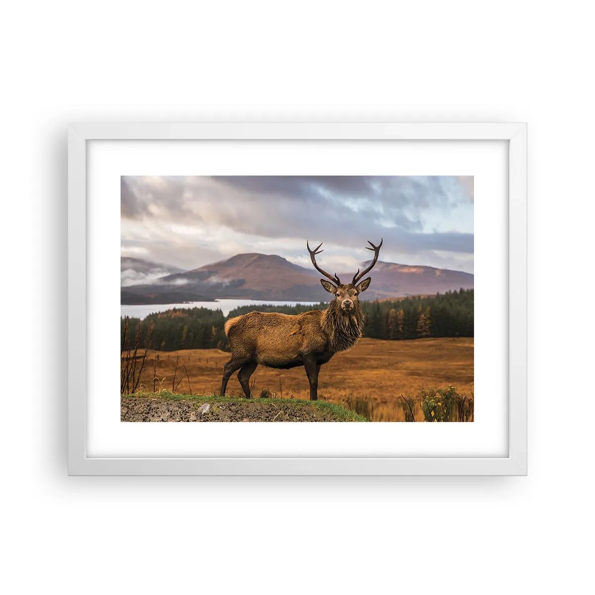 Plakat i hvid ramme - Naturens majestæt - 40x30 cm