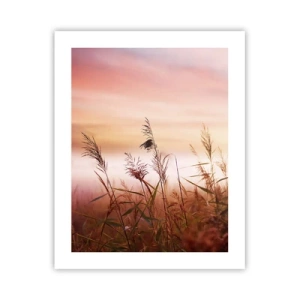 Plakat - Drager, blæsere, vind - 40x50 cm