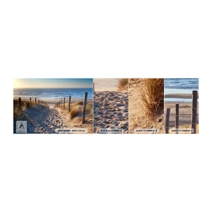 Fototapet Prøve Standard Eco - Havet brummer, fuglene synger, en vild strand midt i græsset.... - Landskab, Strand, Klitter - 100x30 cm