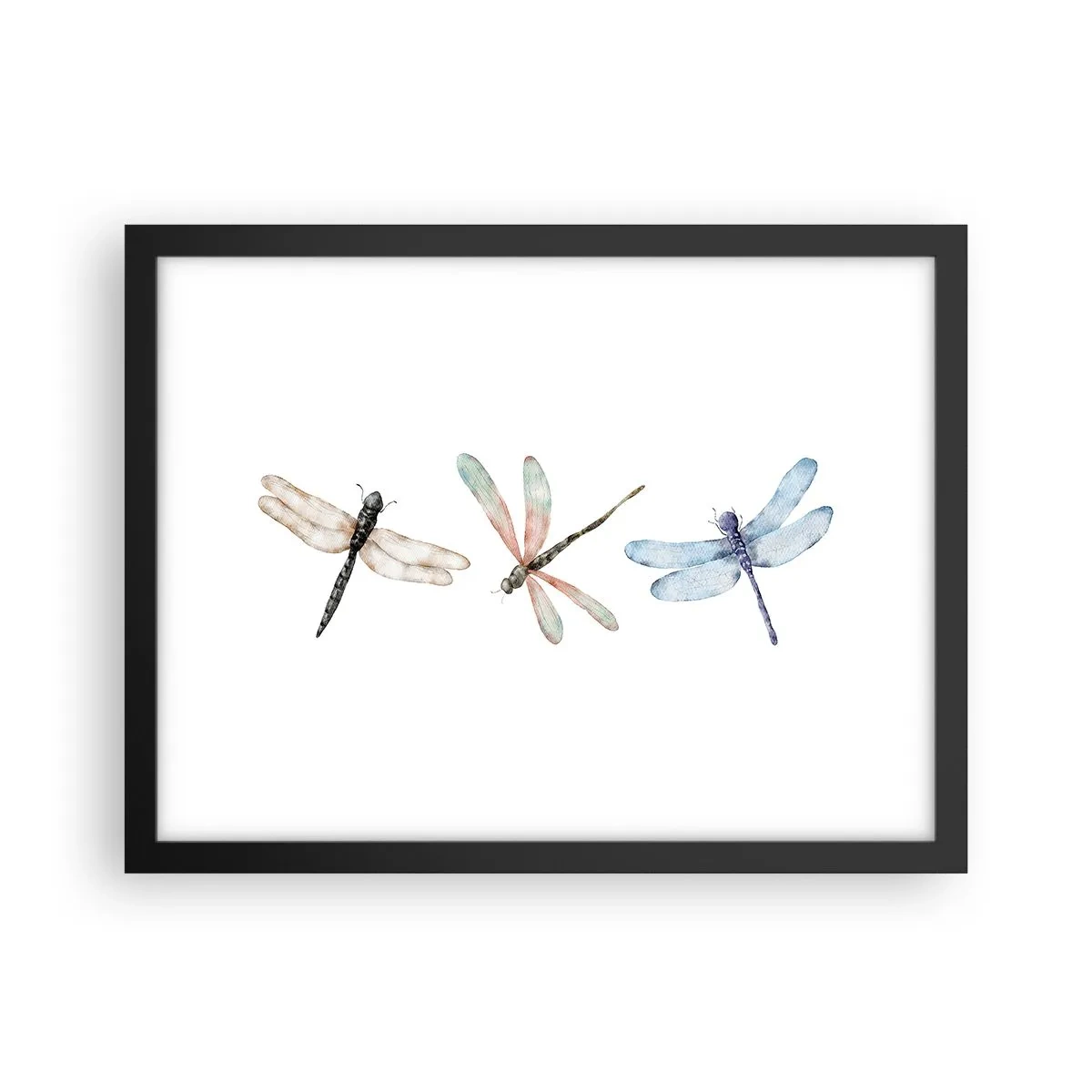 Plakat i sort ramme - Vægtløse guldsmede - 40x30 cm