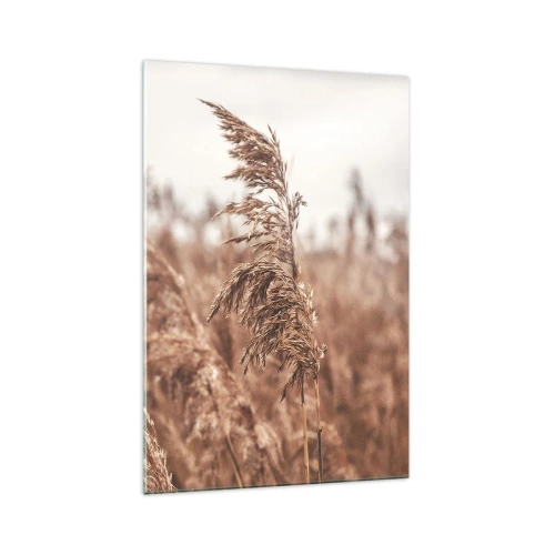 Billede på glas - Efteråret er allerede på markerne - 70x100 cm