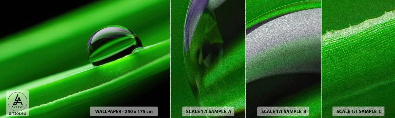 Prøve Fototapet Premium Sand - Livet på tæt hold - Abstraktion, Grafik, En dråbe vand - 100x30 cm