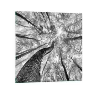 Billede på glas - Kapløb mod lyset - 60x60 cm