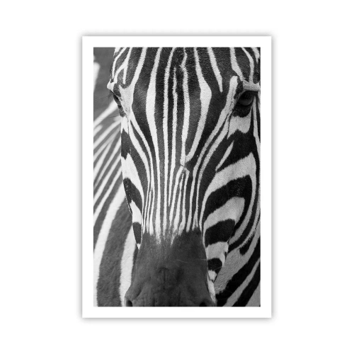 Plakat - Verden er sort og hvid - 61x91 cm