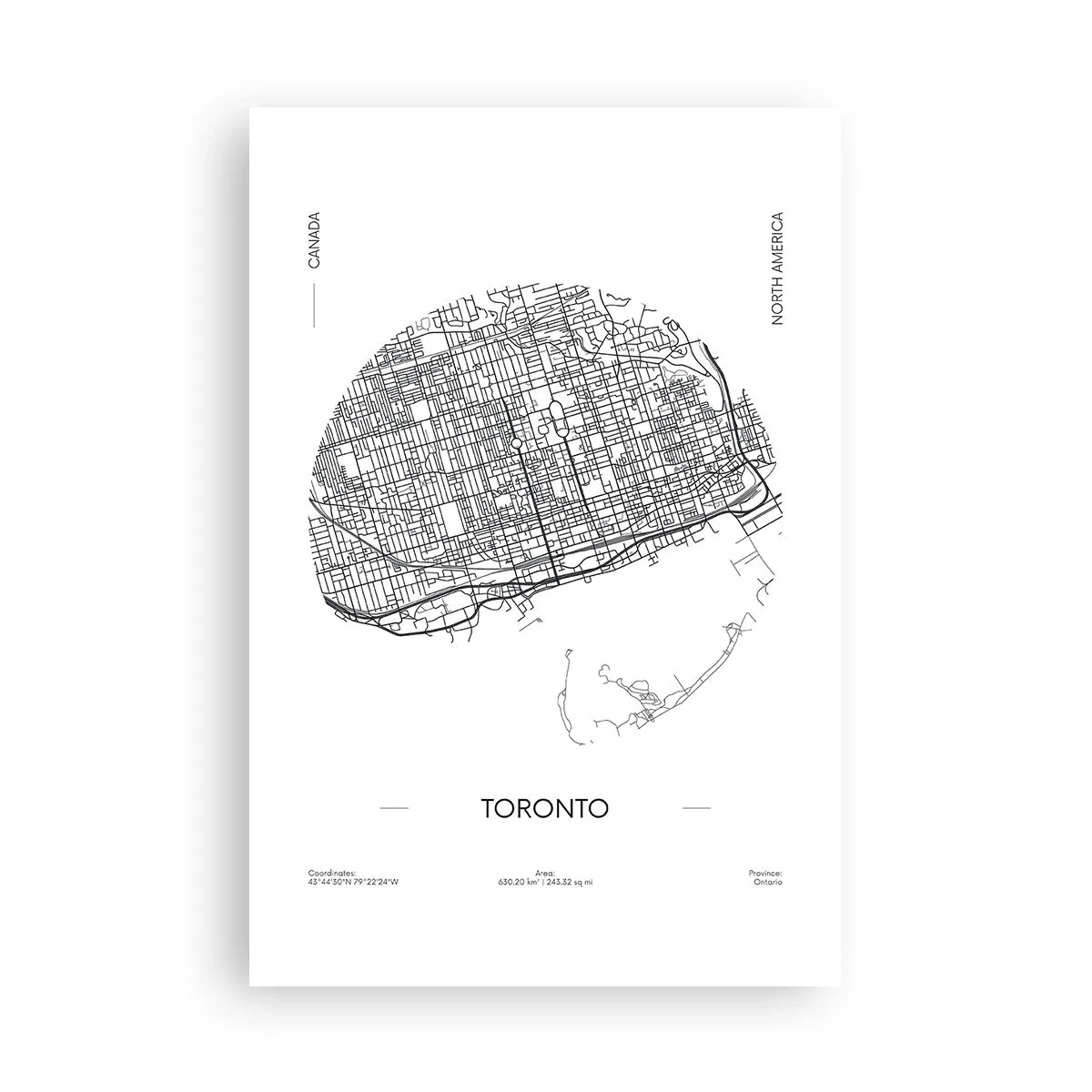 Plakat - Anatomi af Toronto - 61x91 cm