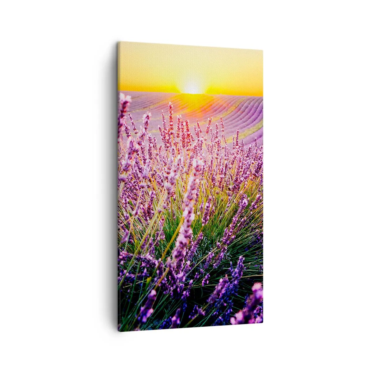 Lærredstryk - Billede på lærred - Duftende plet - 45x80 cm