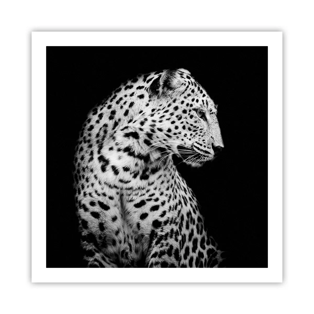 Plakat - Den rigtige profil er perfekt! - 60x60 cm