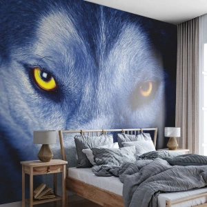 Fototapet Selvklæbende Deluxe Sticker - Et hypnotiserende udseende - Dyr, Ulv, Øjne - 100x70 cm