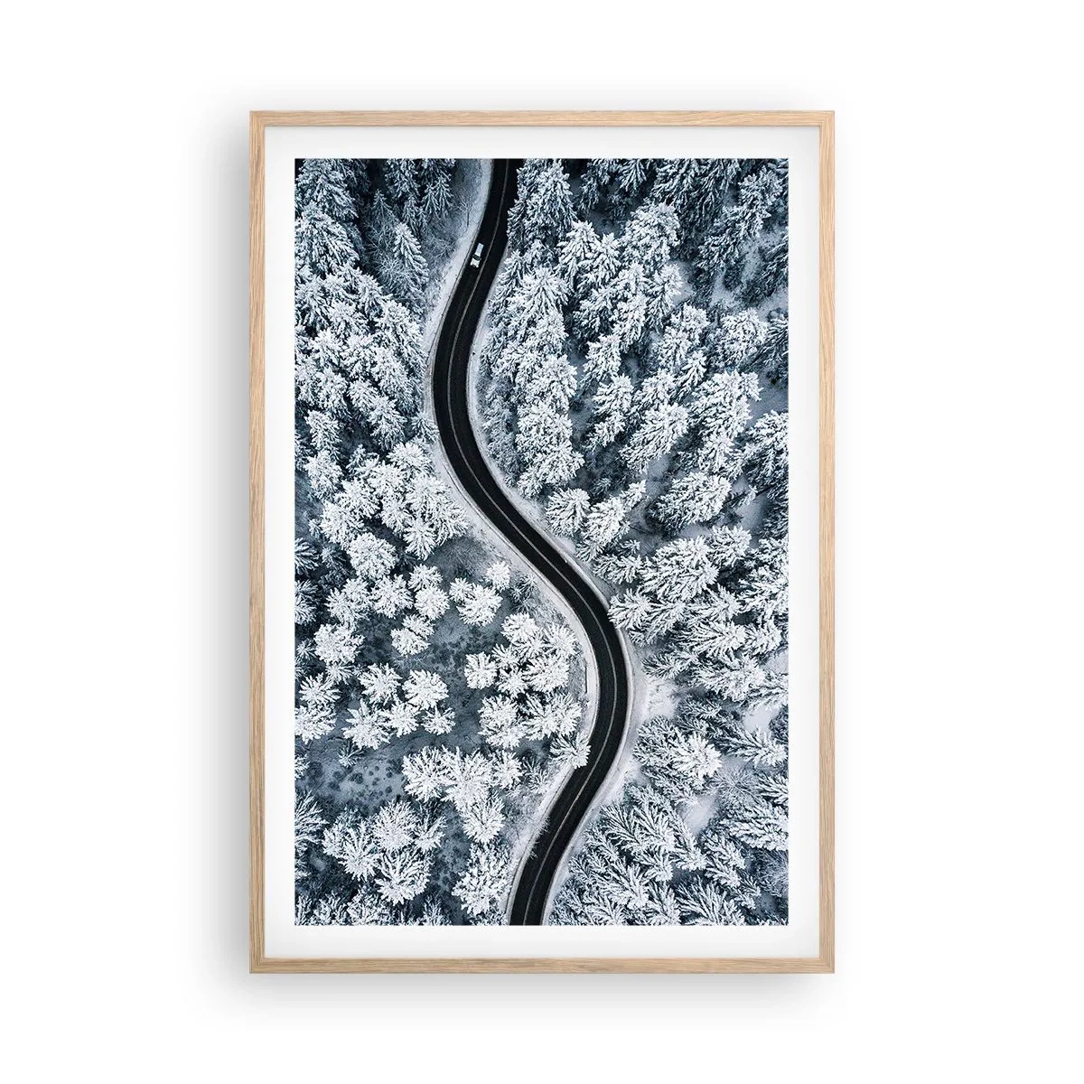 Plakat i ramme af lyst egetræ - Gennem en vinterskov - 61x91 cm
