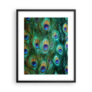 Plakat i sort ramme - En påfugls blik - 40x50 cm