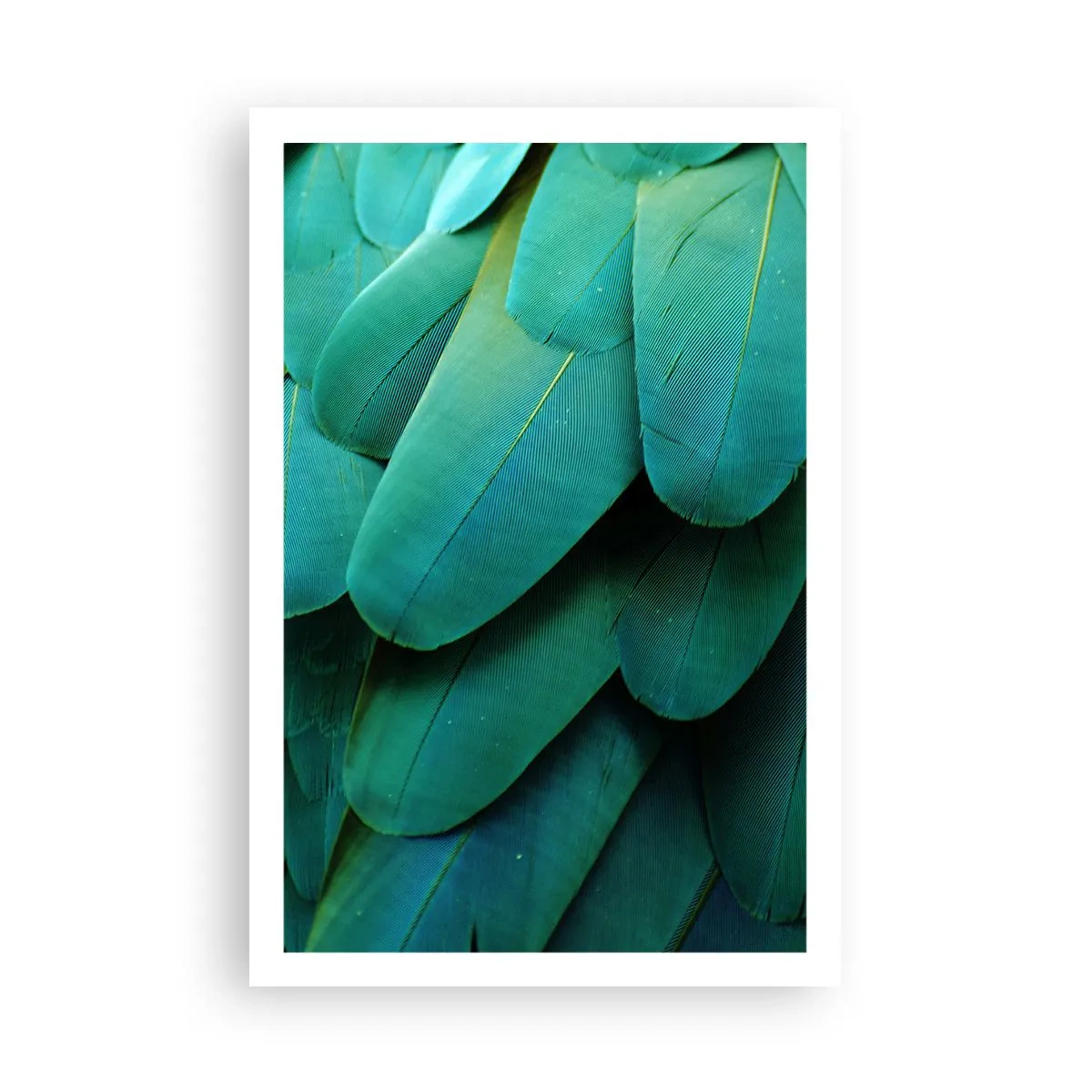 Plakat - Papegøjenaturens præcision - 61x91 cm