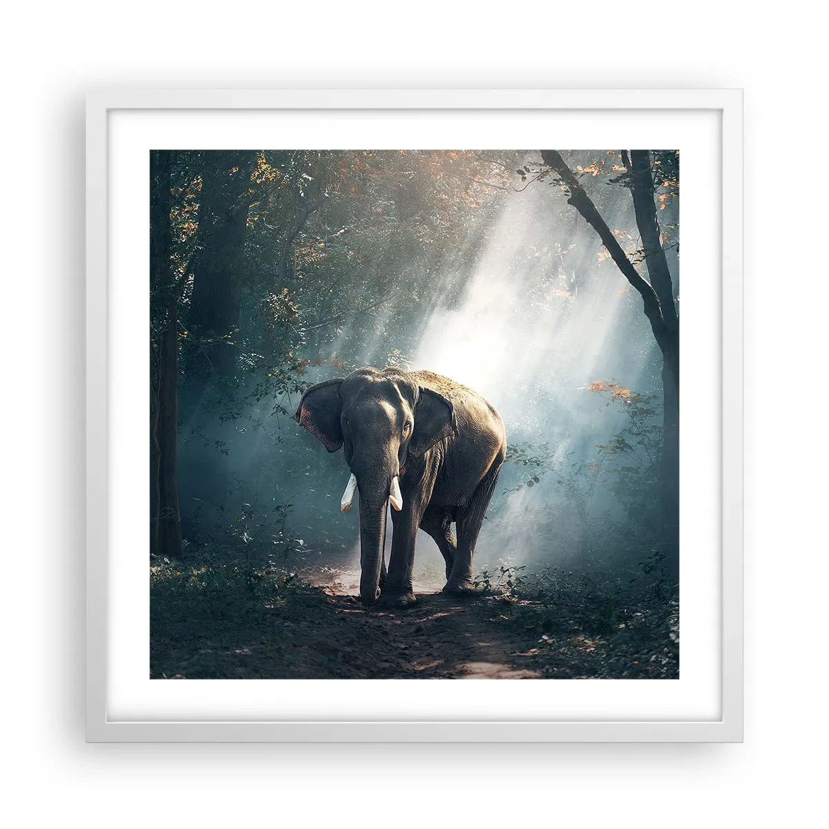 Plakat i hvid ramme - En fredelig gåtur - 50x50 cm