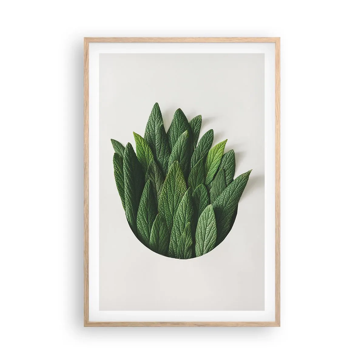 Plakat i ramme af lyst egetræ - Uhæmmet nysgerrighed - 61x91 cm