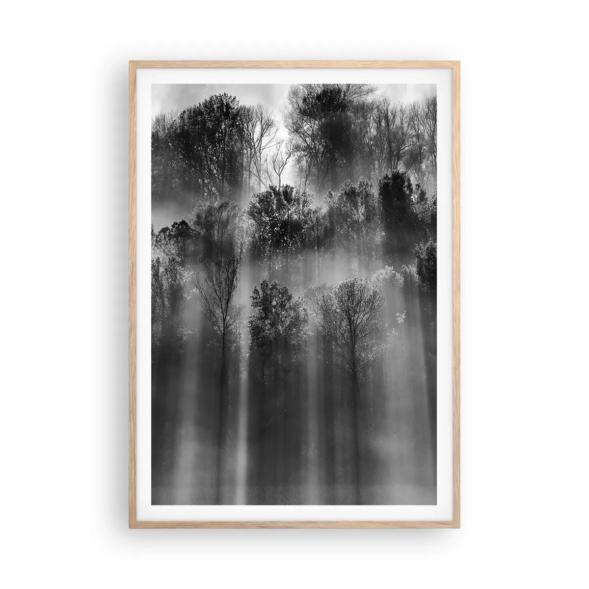 Plakat i ramme af lyst egetræ - I stråler af lys - 70x100 cm